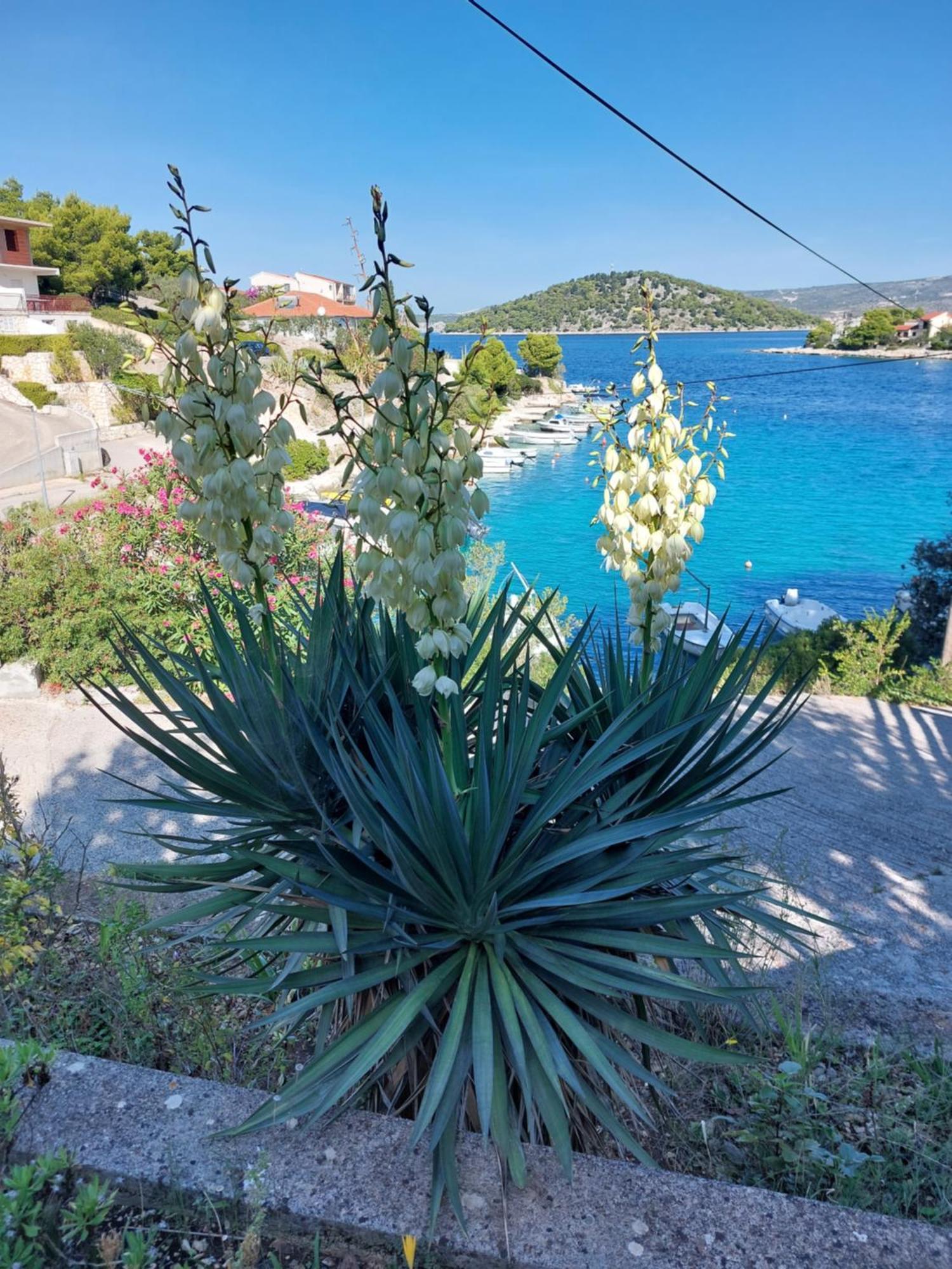 Villa Speranda Razanj Exterior photo